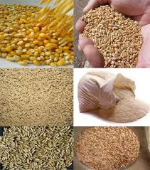 cereales 2